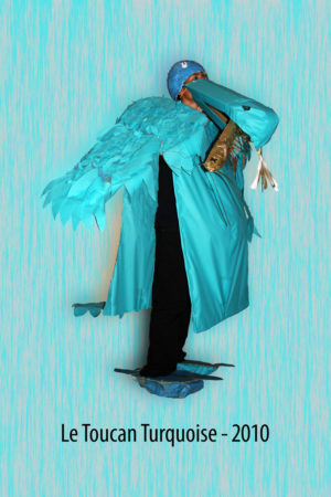 Promo PIE 2010 - Le Toucan Turquoise
