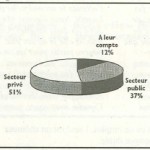 diagramme 8 (public, privé, à leur compte)