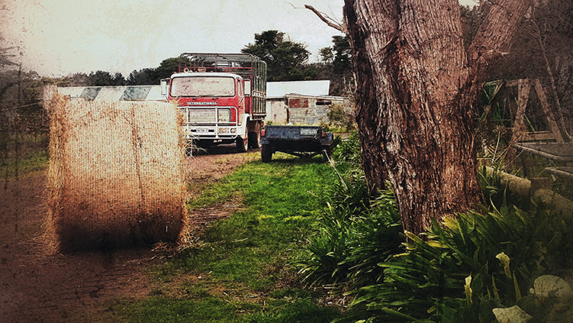 Australie, ferme, tracteur