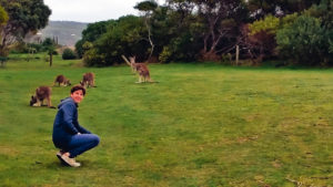 Australie, au milieu des kangourous