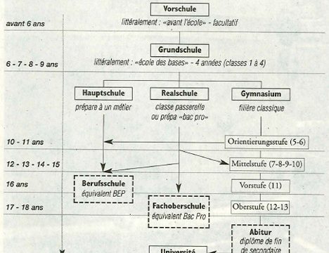 Structure des études en Allemagne