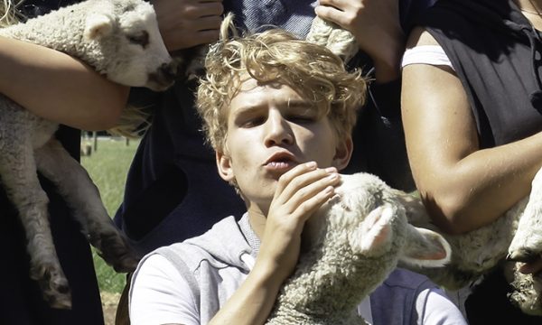 Lou et ses amis, Hastings, Une année scolaire en Nouvelle-Zélande