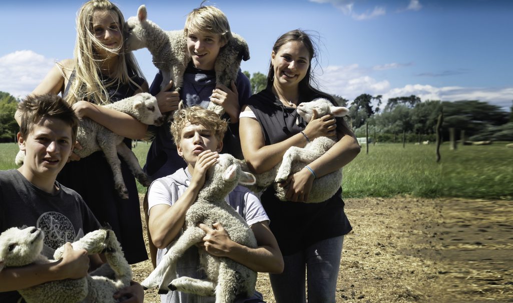 Lou et ses amis, Hastings, Une année scolaire en Nouvelle-Zélande