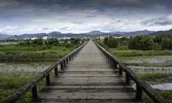 Paysage du japon — Par Laurine, une année scolaire à l'étranger