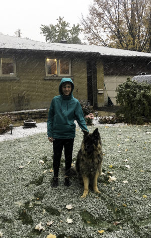 jardin aux USA, hiver, le chien de la famille