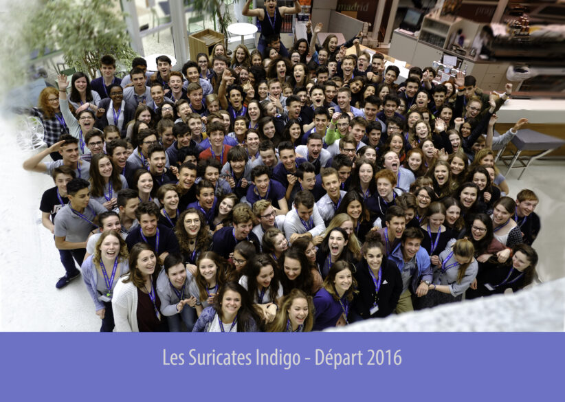 Promo ’16 — Départ à l’étranger — Les Suricates Indigo