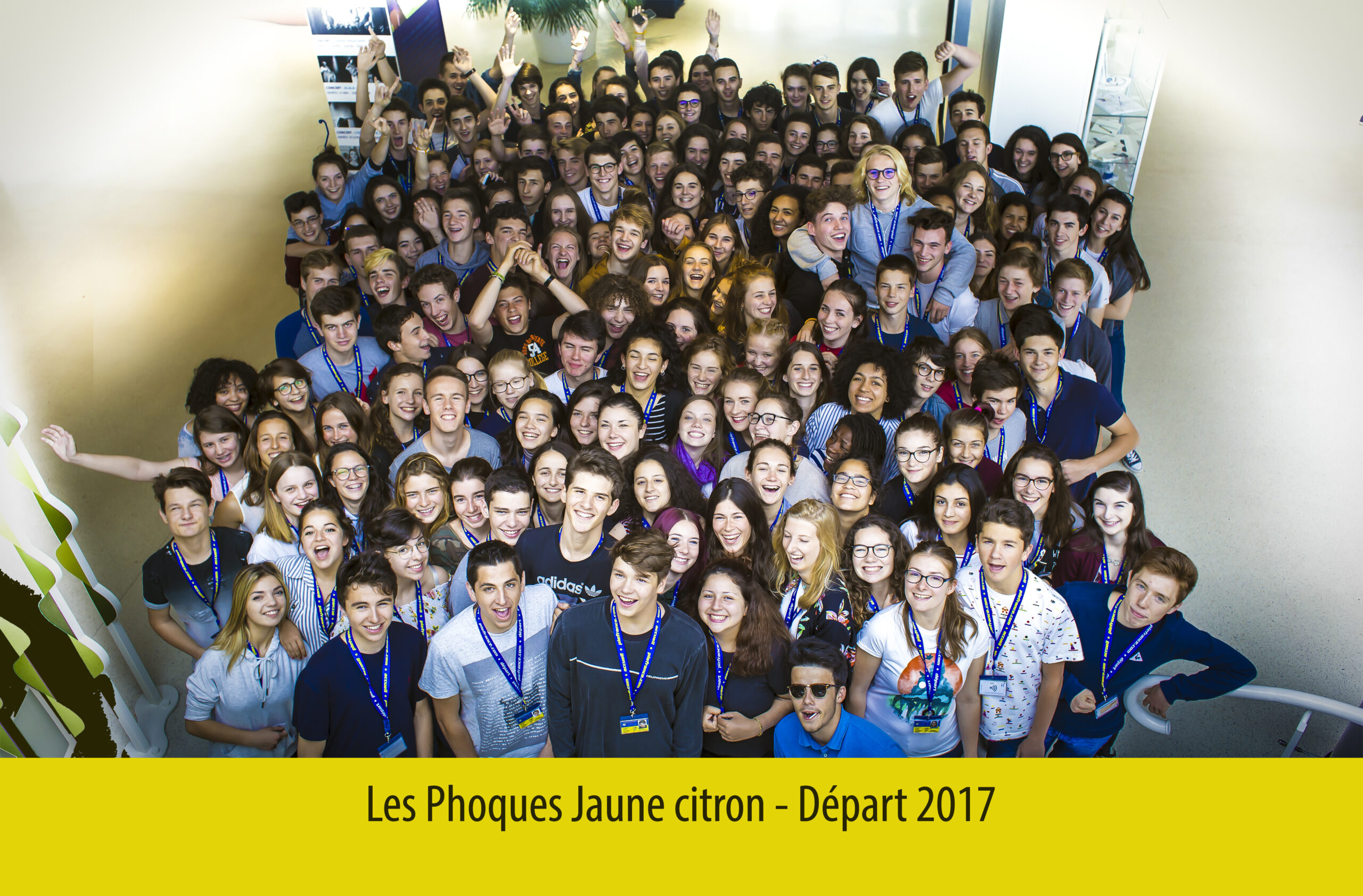 Promo ’17 — Départ à l’étranger — Les Phoques Jaunes Citron