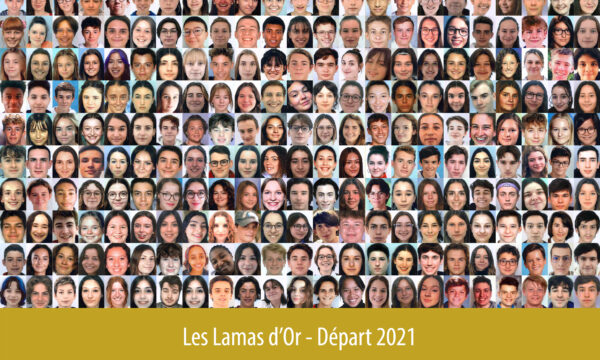 Promo ’21 — Départ à l’étranger — Les Lamas d'Or