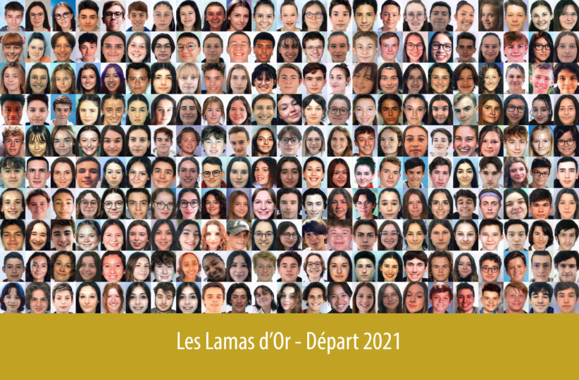 Promo ’21 — Départ à l’étranger — Les Lamas d'Or