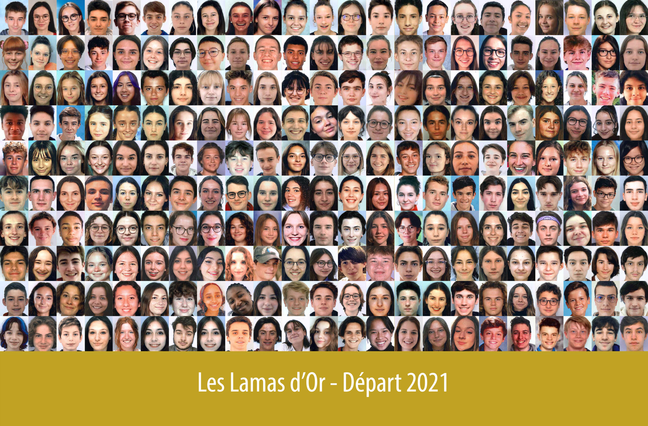 Promo ’21 — Départ à l’étranger — Les Lamas d'Or